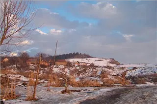 small_reeses 021.webp